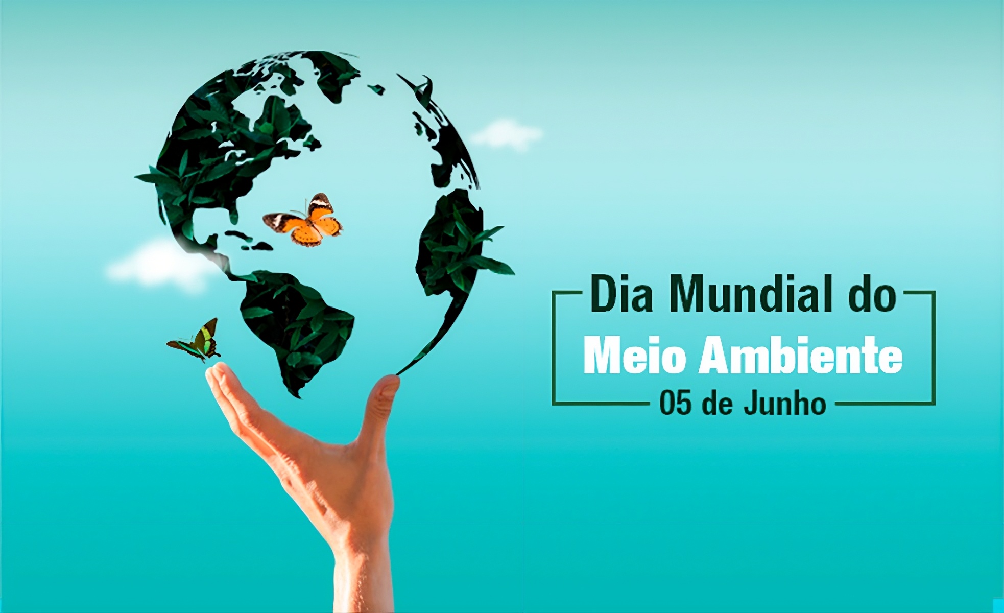 Dia Mundial do Meio Ambiente: a complexa rede de acordos e tratados internacionais